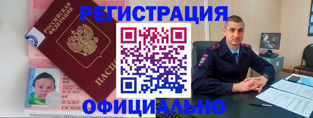 прописка поиск в Железногорске
